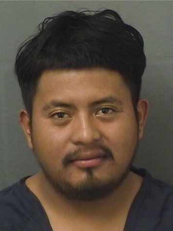  GERARDO LUIS PEREZRAMIREZ Results from Palm Beach County Florida for  GERARDO LUIS PEREZRAMIREZ