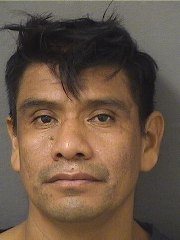  ELISEO GONZALEZLOPEZ Results from Palm Beach County Florida for  ELISEO GONZALEZLOPEZ