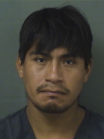  JAMIE ARMANDO TORRESREA Results from Palm Beach County Florida for  JAMIE ARMANDO TORRESREA