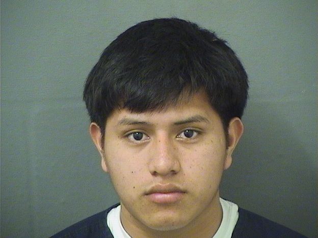  ENRIQUE ALEXANDER PEDROPASCUAL Results from Palm Beach County Florida for  ENRIQUE ALEXANDER PEDROPASCUAL