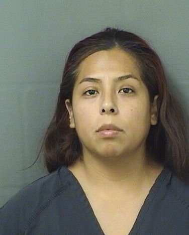  ALEYDA SAMANTHA CHICAIZA Resultados de la busqueda para Palm Beach County Florida para  ALEYDA SAMANTHA CHICAIZA