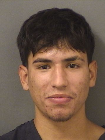  ERIANGEL DAVID CARRIZOGARCIA Results from Palm Beach County Florida for  ERIANGEL DAVID CARRIZOGARCIA