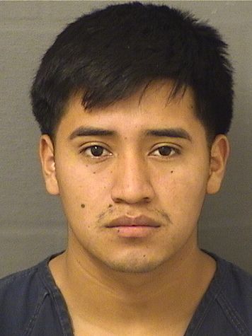  KEVIN JOEL DELEONCARRILLO Results from Palm Beach County Florida for  KEVIN JOEL DELEONCARRILLO