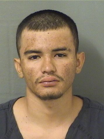  MARVIN BARAHONAALEMAN Results from Palm Beach County Florida for  MARVIN BARAHONAALEMAN