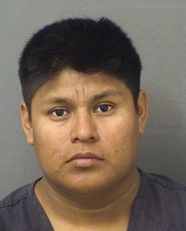  WILMER AMBROCIOAMBROCIO Results from Palm Beach County Florida for  WILMER AMBROCIOAMBROCIO