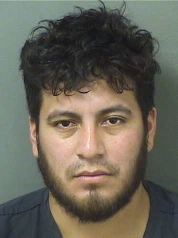  DOLMAN MARCOS GOMEZ VELASQUEZ Results from Palm Beach County Florida for  DOLMAN MARCOS GOMEZ VELASQUEZ